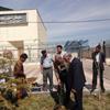 غرس درخت در هفته درختکاری توسط مدیریت و کارکنان حج و زیارت استان قزوین